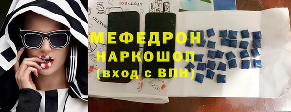 мдпв Инсар