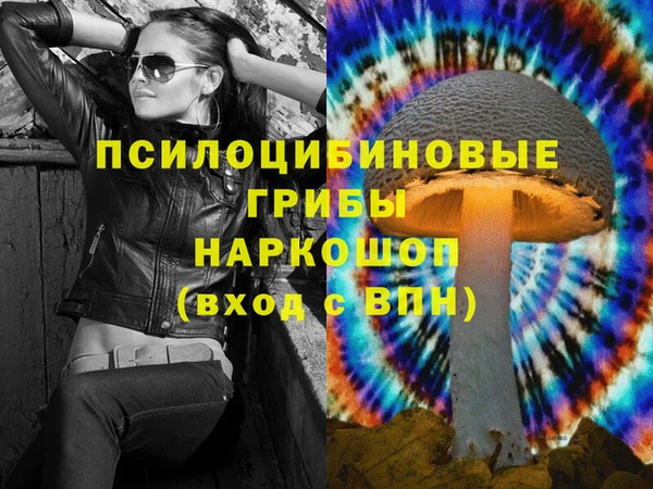 ешки Семилуки