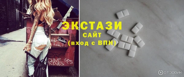 мдпв Инсар