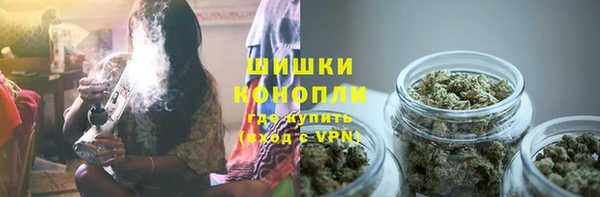 индика Иннополис