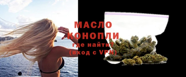 мдпв Инсар