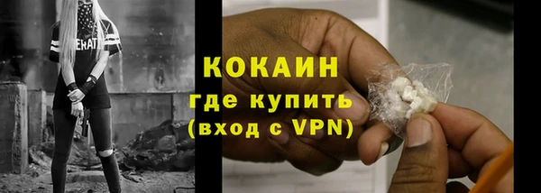 мет Инта