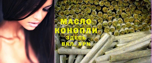 индика Иннополис
