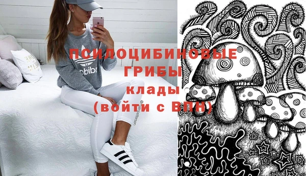 МДПВ Слюдянка