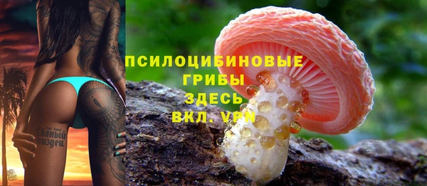 мдпв Инсар