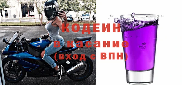 индика Иннополис