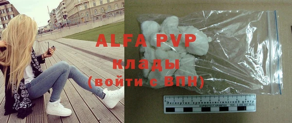 мдпв Инсар