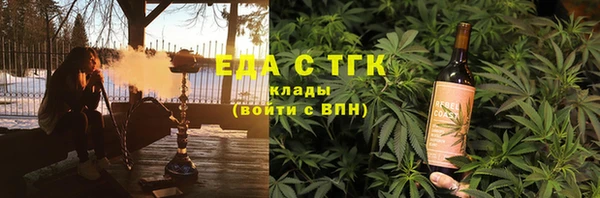 мдпв Инсар