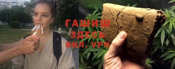 мдпв Инсар