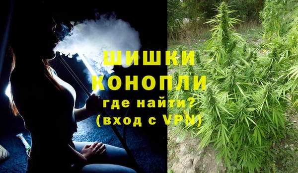 мдпв Инсар