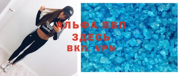 индика Иннополис