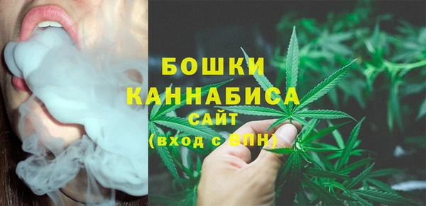 индика Иннополис