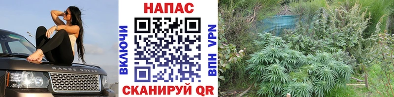 купить  сайты  MEGA зеркало  Канабис SATIVA & INDICA  Судак 